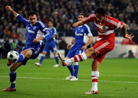 选手都能在 选手都能在